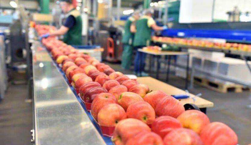 Where to Begin 3 Approaches to Evaluate Food and Beverage ERP Systems