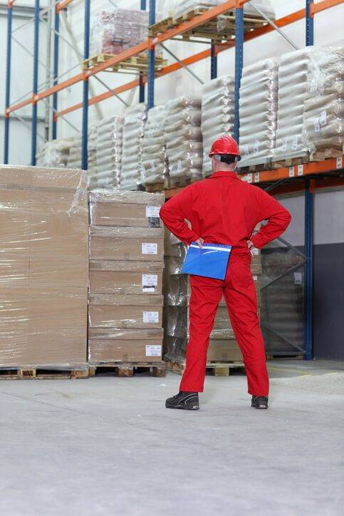Guidelines for Evaluating CPG ERP