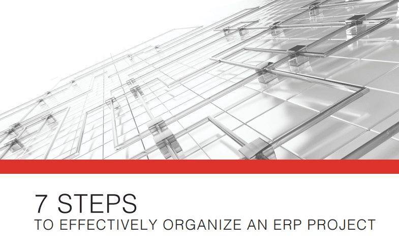 ERP Organization graphic