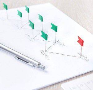 Successful-Strategy-Planning erp demo