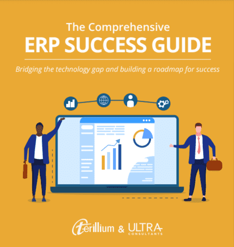erp success guide software consultant