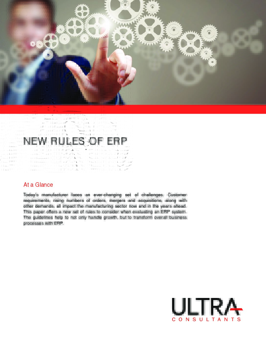ERP consultants and what they do