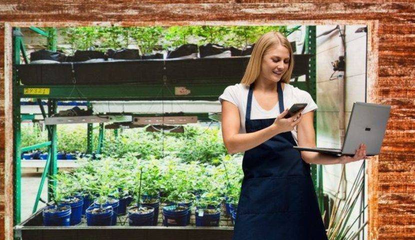 The Best Seed to Sale Software of 2023