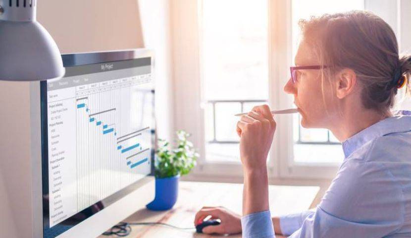 Eight Critical ERP Implementation Success Factors