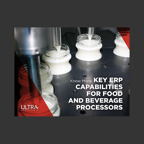 Erpconsulting Food Retarget 6 key erp food